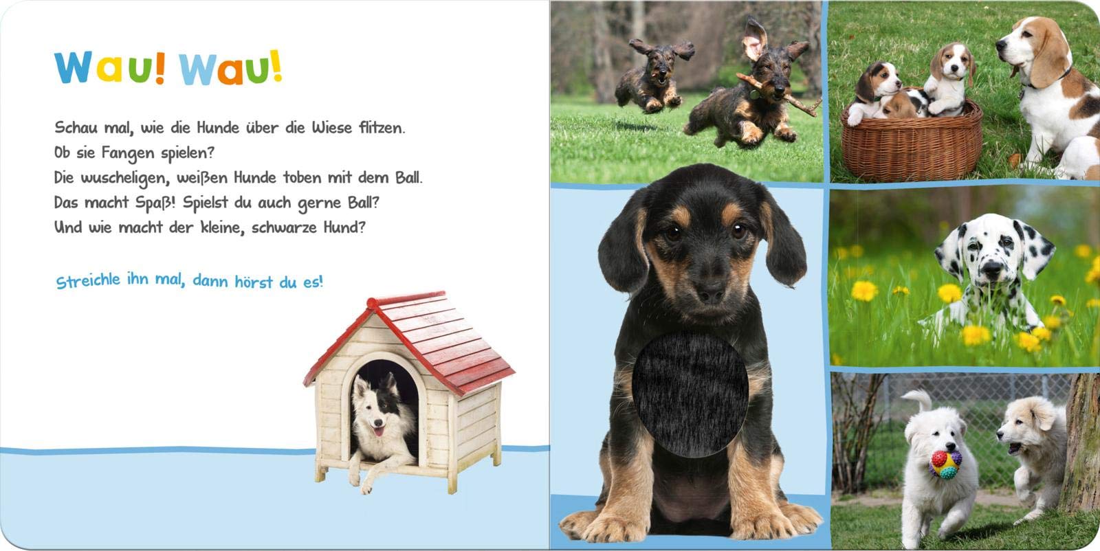 Kinderbuch ab 1 - Hör mal rein, wer kann das sein – Lieblingstiere - Seite2